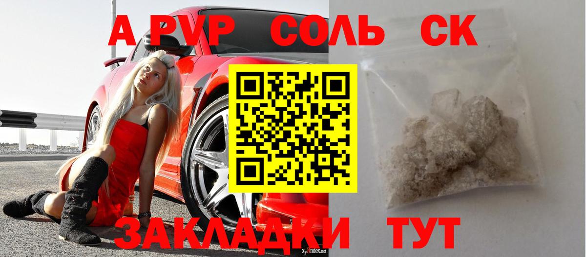 APVP СК Камышин