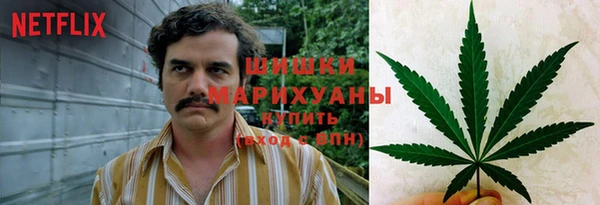 стаф Алзамай