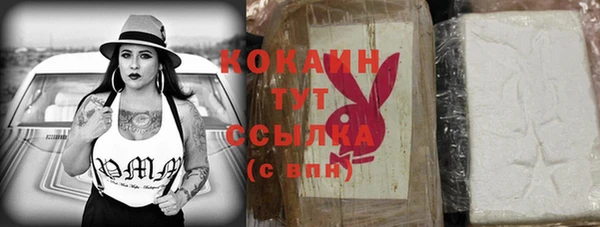 стаф Алзамай