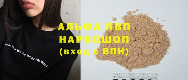 стаф Алзамай