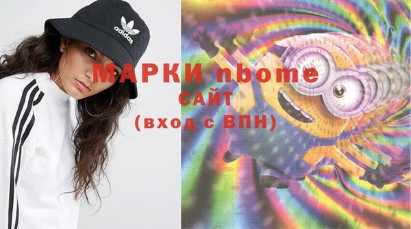 стаф Алзамай