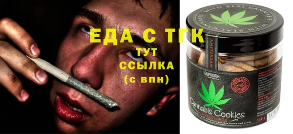 стаф Алзамай