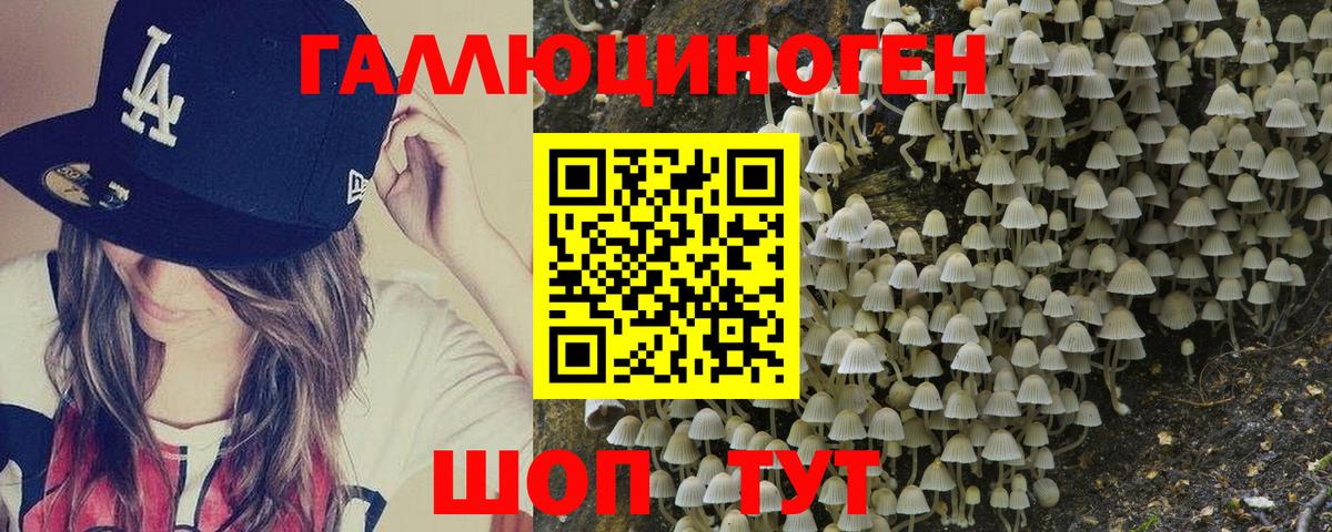 Камышин  Псилоцибиновые грибы MAGIC MUSHROOMS  Вход с VPN 