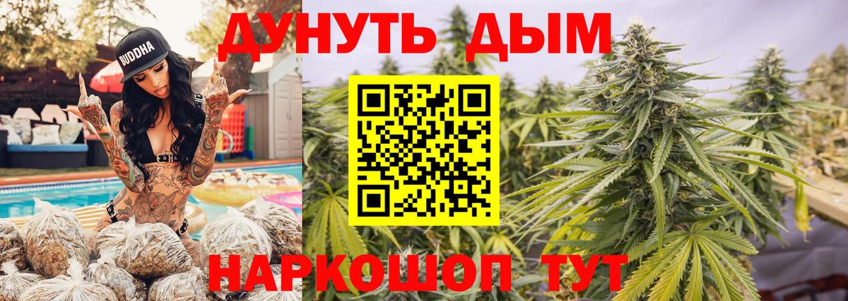 Камышин  Конопля сатива  Бошки Шишки гибрид  Бошки марихуана OG Kush  Вход с VPN 